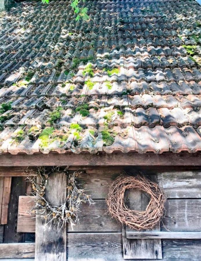 Hotel Gasthaus Birke Kirchzarten Zewnętrze zdjęcie